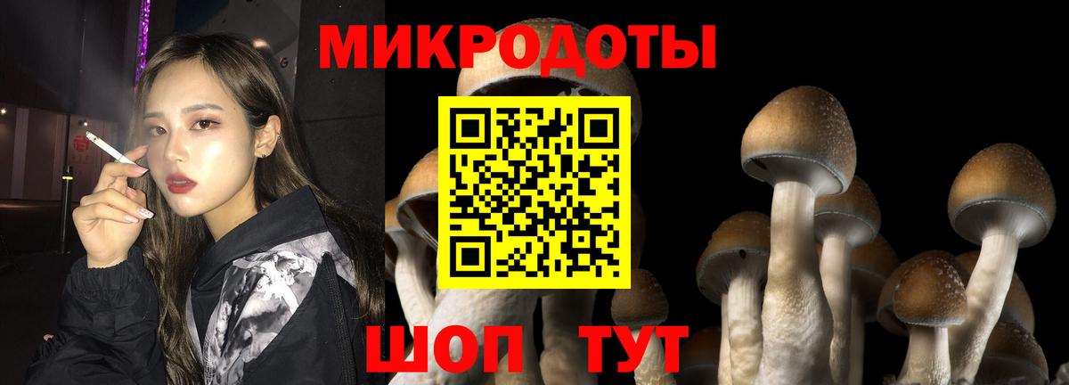 Хасавюрт  Галлюциногенные грибы GOLDEN TEACHER  Псилоцибиновые грибы Cubensis  Вход с VPN 